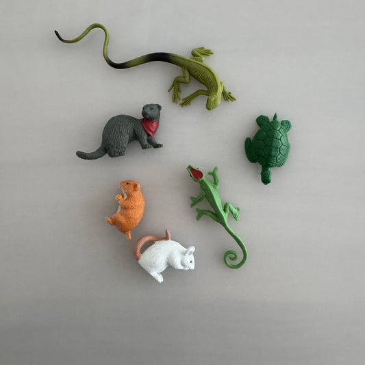 Safari LTD - 6 figuurtjes - Huisdieren Special