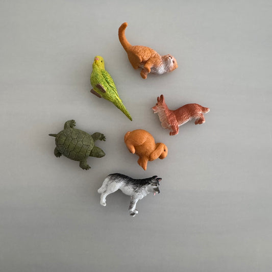 Safari LTD - 6 figuurtjes - Huisdieren